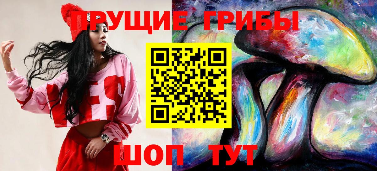 Псилоцибиновые грибы GOLDEN TEACHER Шарыпово